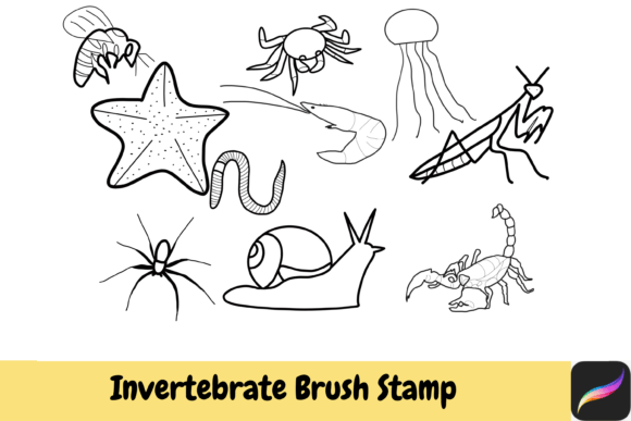 Invertebrate Brush Stamps Procreate IPAD